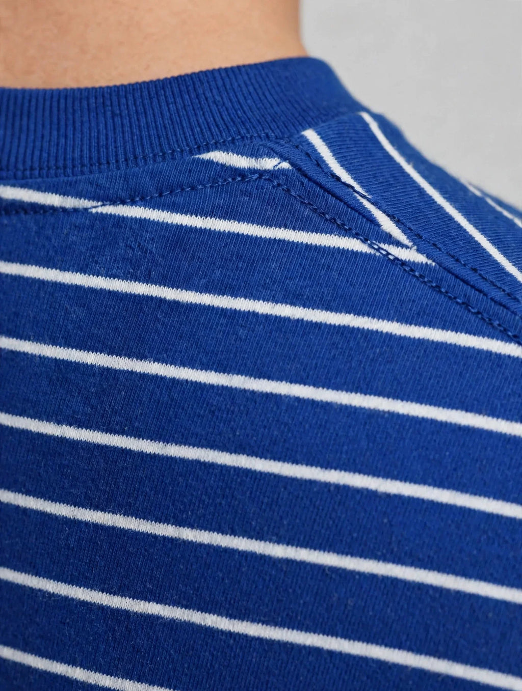 Men Royal Blue Striped T-Shirt