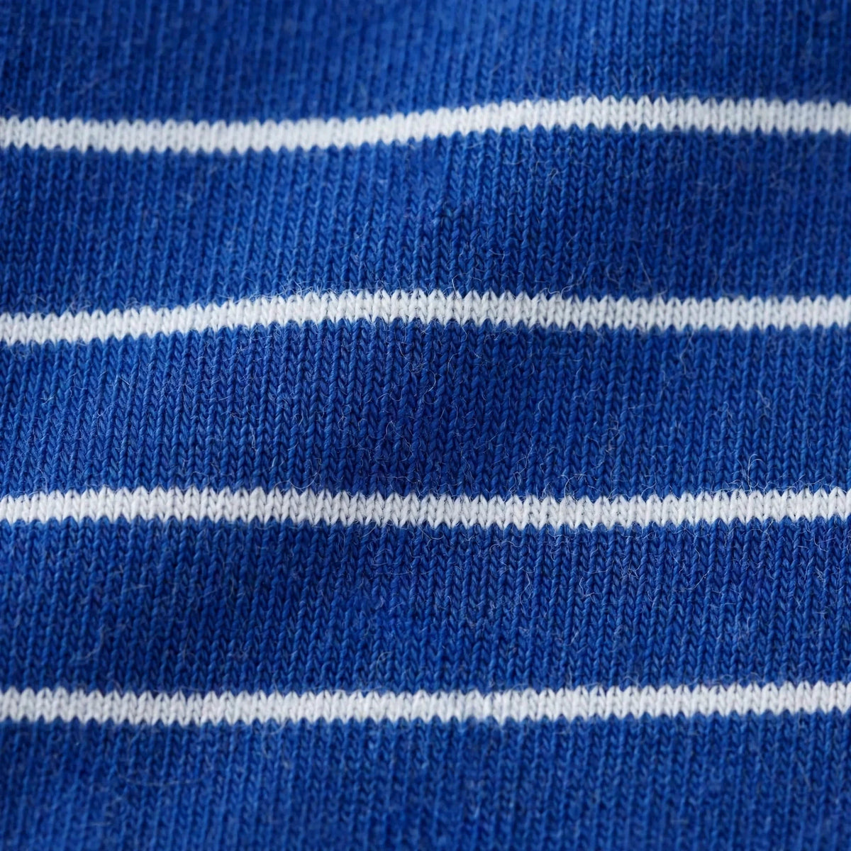 Men Royal Blue Striped T-Shirt
