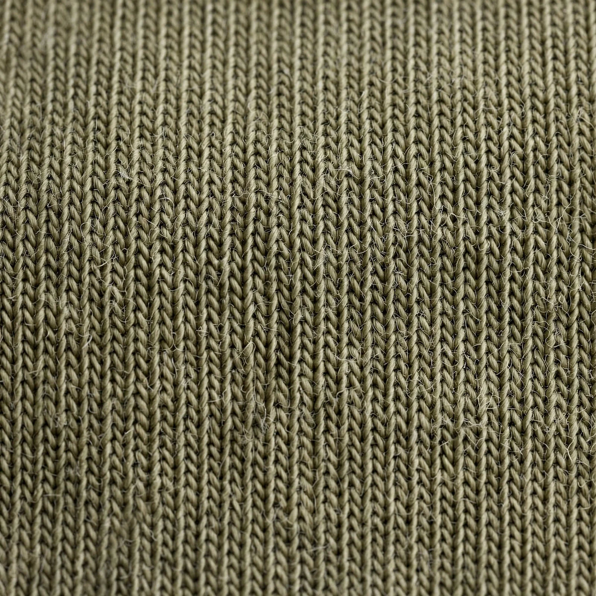 Women Olive Solid T-Shirt